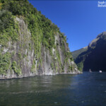 Croisière sur le Milford sound