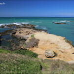 Matakaea Scenic reserve