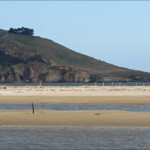 Vasières près de Karitane