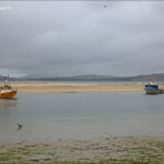 Petit port de Karitane