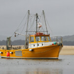 Petit port de Karitane