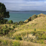 Balade côtière à Karitane