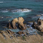 Balade côtière à Karitane