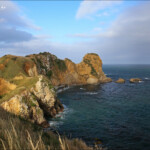 Balade côtière à Karitane