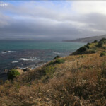 Balade côtière à Karitane