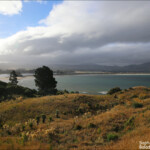 Balade côtière à Karitane