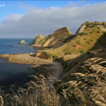 Balade côtière à Karitane