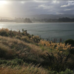 Balade côtière à Karitane