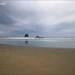 Gull rocks, Sandfly bay