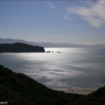 Retour sur Wanui Bay