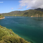 French pass au petit matin