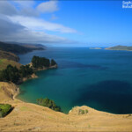 French pass au petit matin