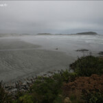Brume sur la baie de Tauranga