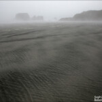 Brume sur la baie de Tauranga