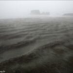 Brume sur la baie de Tauranga