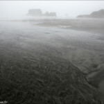 Brume sur la baie de Tauranga