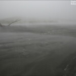 Brume sur la baie de Tauranga