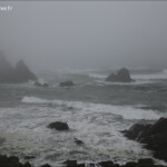 Cape Foulwind Walkway