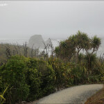 Cape Foulwind Walkway