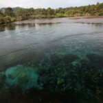 Te Waikoropupū Springs