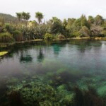 Te Waikoropupū Springs