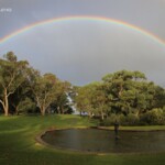 Arc-en-ciel sur le jardin botanique