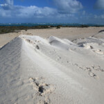Les dunes de Lancelin