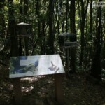 Mangeoires sur Kapiti Island