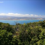 Kapiti Island