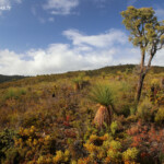 Réserve naturelle d'Ellis Brook Valley