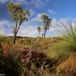 Réserve naturelle d'Ellis Brook Valley