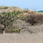 Cape Range National Park
