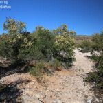 Creek asséché, Cape Range National Park