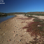 Petit estuaire, Cape Range National Park