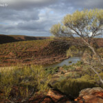 Parc national de Kalbarri