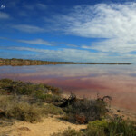 Lac rose au sud de Kalbarri