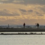 Fin de journée à Kalabarri