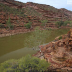 Parc national de Kalbarri