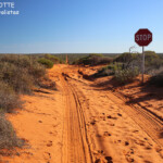Carrefour au milieu du parc national François Péron