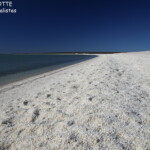 Shell Beach