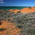 Cap Péron, parc national François Péron