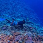 Chasseur sous marin à Tiga