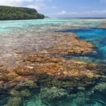 Platier le long du warf