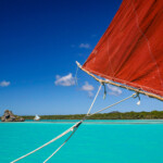 Balade en pirogue sur la baie d'Upi Balade en pirogue sur la baie d'Upi