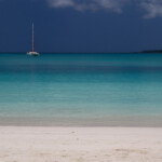 Ile des pins Svg+xml,%3Csvg%20xmlns%3D%22http%3A%2F%2Fwww.w3