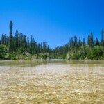 Sentier pour la baie d'Oro Sentier pour la baie d'Oro
