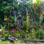 C'est parti pour l'ascension ! pic n ga