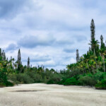 Rivière de sable Rivière de sable