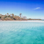 En route pour l'îlot Brosse ! ilot brosse