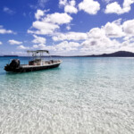 Ile des pins Svg+xml,%3Csvg%20xmlns%3D%22http%3A%2F%2Fwww.w3